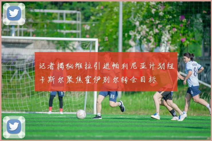 记者揭秘维拉引进帕利尼亚计划纽卡斯尔聚焦霍伊别尔转会目标