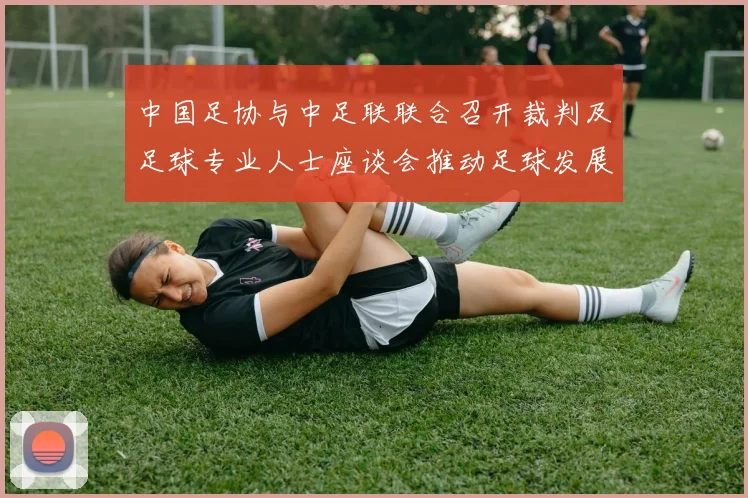 中国足协与中足联联合召开裁判及足球专业人士座谈会推动足球发展新举措